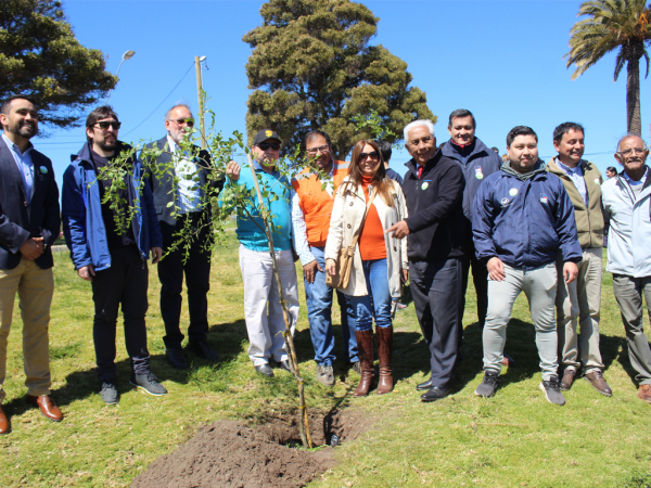 Buscan convertir a Plaza Estrella en pulmón verde de la comuna