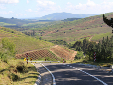 Esperado proyecto vial en pleno desarrollo: Se ejecuta obra de reconstrucción de la ruta hacia localidad de Cuncumén