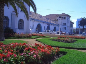 Municipio autoriza corrida del &quot;Hogar de Cristo&quot;