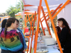 Segunda Feria Veggie reunió a 27 emprendedores en la Plaza de Llolleo