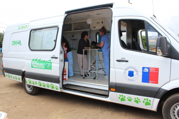 Clínica Veterinaria Móvil de la Municipalidad de San Antonio invita a esterilizar a su mascota