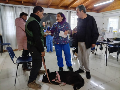 Operativos gratuitos de esterilización recorrerán nuevos sectores de San Antonio