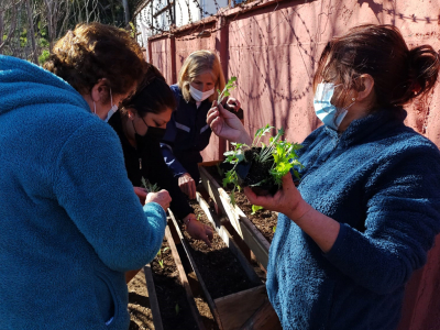 Vecinos de la poblaci&oacute;n San Pedro de Llolleo se enorgullecen de su huerto comunitario