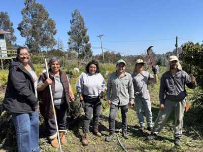 Usuarios de Prodesal San Antonio comprueban los beneficios de la agricultura sintrópica