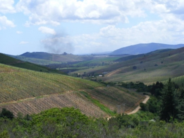 Concurso Público | Asesor Técnico Prodesal