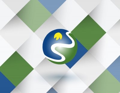 Estructura Org&aacute;nica