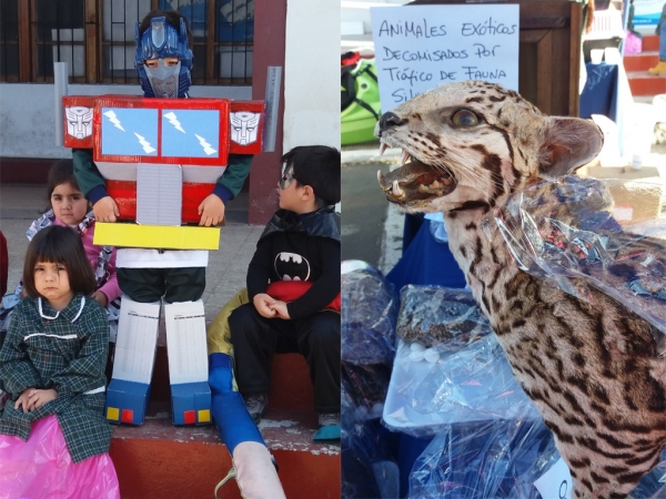 Municipalidad de San Antonio celebr&oacute; el D&iacute;a Mundial del Medio Ambiente