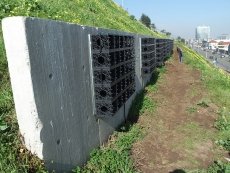Mirando hacia el Puerto hacen un &ldquo;Muro Verde&rdquo; en el Talud 21 de Mayo