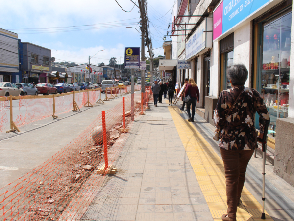 En ejecución las obras de reposición de vereda sur en Avenida Centenario   