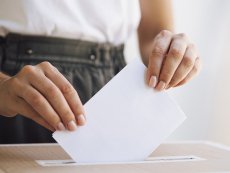 Facs&iacute;mil Voto Consulta Ciudadana 2019