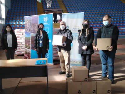 Profesionales de Servicio País apoyan a Municipalidad de San Antonio en la distribución de cajas de alimentos
