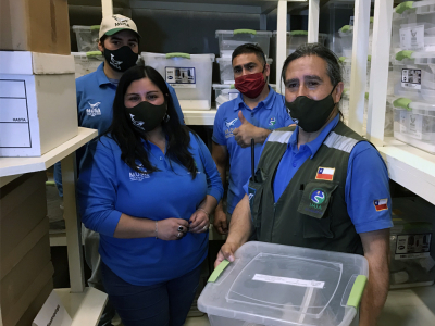 Museo de Historia Natural e Hist&oacute;rico de San Antonio celebr&oacute; sus 40 a&ntilde;os inaugurando dos dep&oacute;sitos
