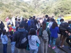 &Eacute;xito total en las actividades del Museo Municipal de San Antonio en Vacaciones de Invierno
