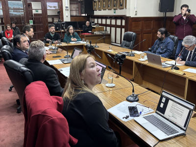 Exponen en Concejo Municipal estudio sobre el estado estructural del puente colgante